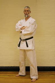 Image result for Karate Sensei