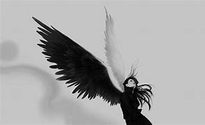 Image result for Dark Angel Wings