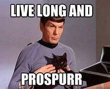 Image result for Spock Cat Meme