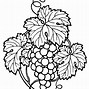 Image result for Grapes for Wine