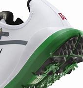 Image result for Tiger Woods Sneakers