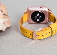 Image result for Apple Watch Strap Adapter