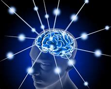 Image result for Expanding Brain Stock Image