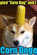 Image result for Corn Dog Meme Doge