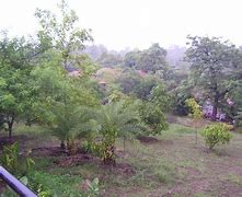 Image result for Tamarind Village Chiang Mai