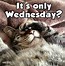 Image result for Wednesday Sales Meme