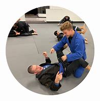 Image result for Brazilian Jiu Jitsu Free Pictures