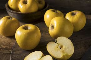 Image result for Yellow Apple Species