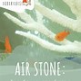 Image result for Air Stone for Aquarium Fish Tank