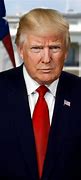 Image result for President Trump Official White House Portrait