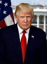 Image result for Donald Trump Presidential Portrait
