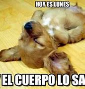 Image result for Lunes Invierno Frio Meme