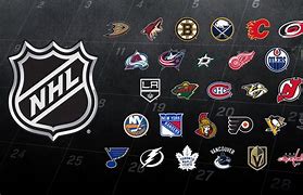 Image result for National Hockey League Teams 5