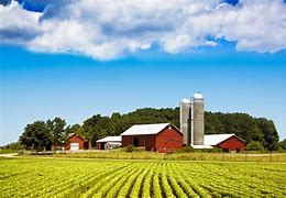 Image result for Local Farm in a Rural Area