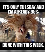 Image result for Work Funny Memes About Tuesday