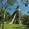 Image result for Tikal Maya
