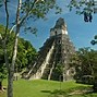 Image result for Ruins of Tikal
