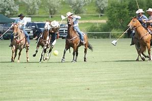 Image result for Cowboy Polo