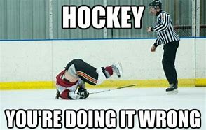 Image result for Hockey Stick Memes
