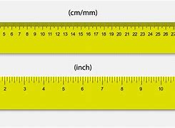 Image result for Things That Are 13Cm Long
