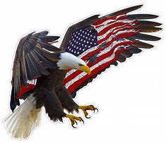 Image result for American Flag and Eagle Decal