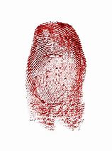 Image result for Whole Fingerprint Red