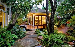 Image result for Rainforest Garden