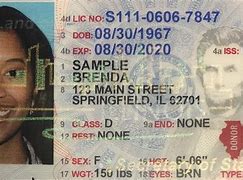 Image result for IL ID Card