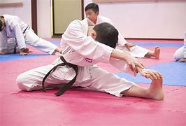 Image result for Karate Class Flex Board