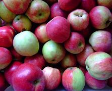Image result for No Spray Apple Varieties