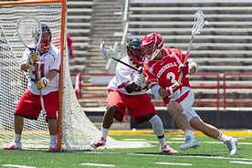 Image result for Cornell Lacrosse