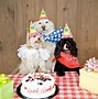 Image result for Happy Birthday Funny Puppy