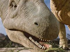 Image result for Largest Known Dinosaur