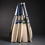 Image result for cricket bat brands