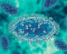 Image result for Mpox infections rise