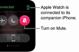 Image result for iPhone Mute Phone Call