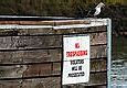 Image result for No Trespassing Signs Black and White