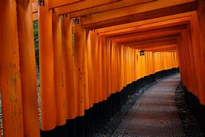 Image result for Japan Orange Gates