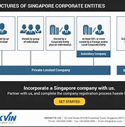 Image result for Singapore Pte LTD Entity