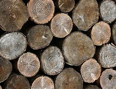 Image result for High Res Wood