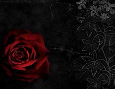 Image result for Gothic Rose Wallpaper Background