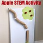 Image result for Printable Apple Stem and Leaf