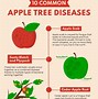 Image result for Disease Immune Apple Trees