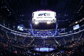 Image result for UFC Events
