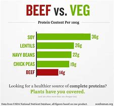 Image result for Vegan Protein vs Meat