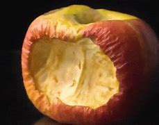 Image result for Cezanne Apples and Oranges