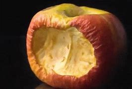 Image result for Are Apples Better than Oranges