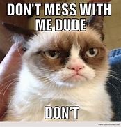 Image result for Don't Mess with Me Cat Meme