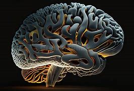 Image result for Smooth Brain Image