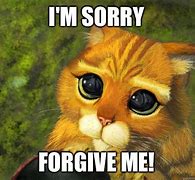 Image result for Sorry Crying Meme